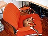 Kit's Aby taking full possession of her chair